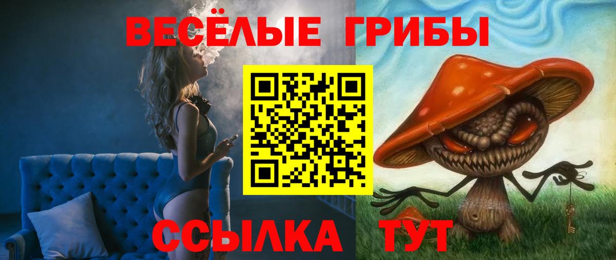 Псилоцибиновые грибы мицелий Кировск
